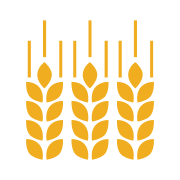 wheat icon